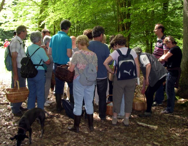 2009 06 Myco porte Baudet 11